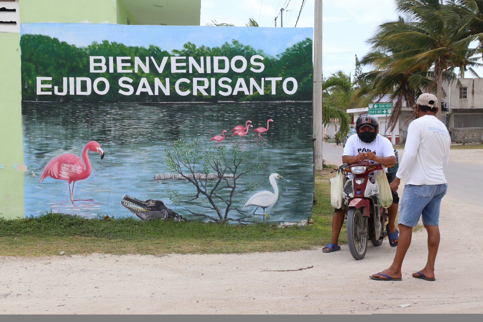 La zona cuenta con 850 hectáreas de bosque de manglar, de los cuales se registraron como área de almacenamiento 690, que son irrigadas por cenotes La zona cuenta con 850 hectáreas de bosque de manglar, de los cuales se registraron como área de almacenamiento 690, que son irrigadas por cenotes