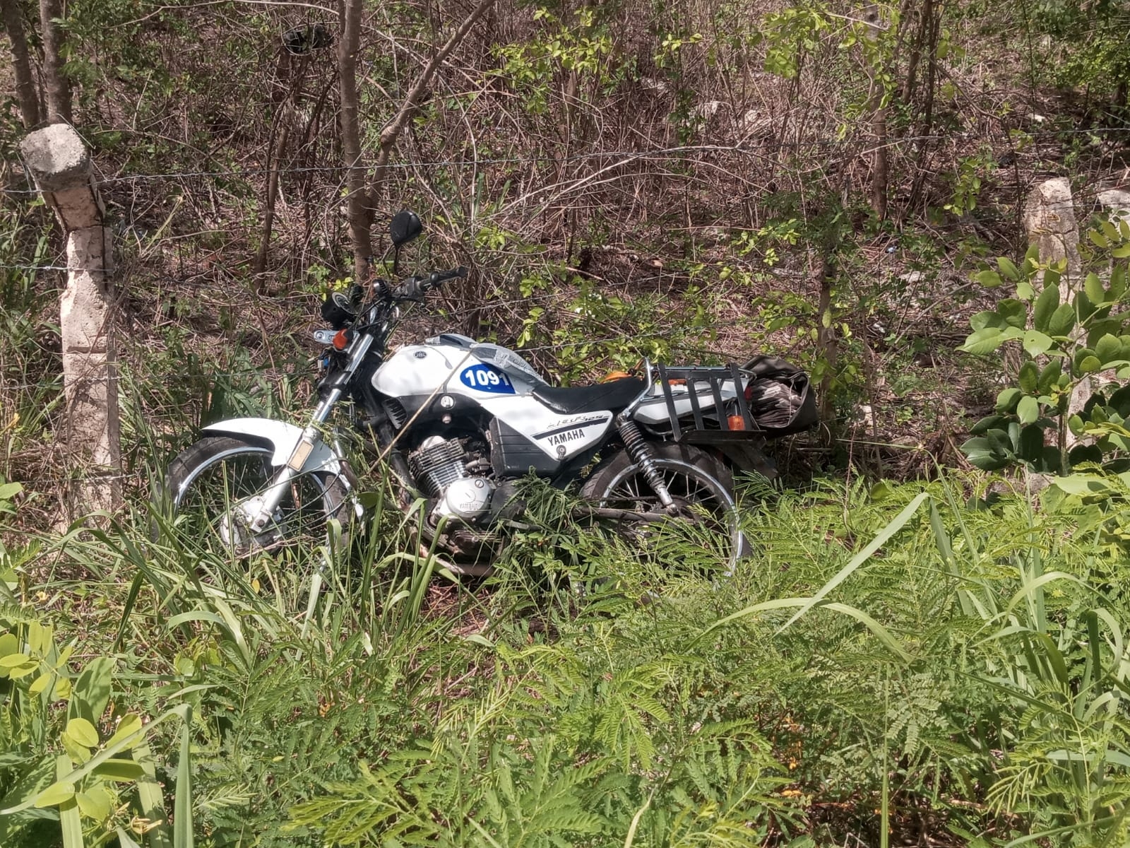 La motocicleta junto a su conductor terminaron 10 metros dentro de la maleza