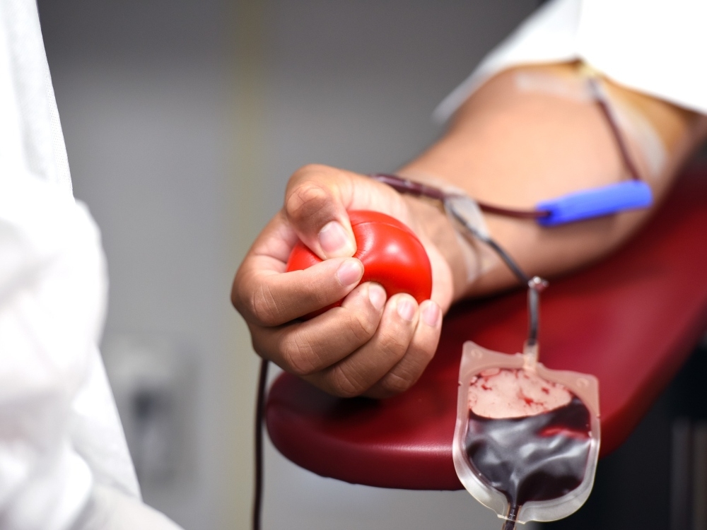 La donación de sangre en México mantiene ciertos requisitos. Foto: Especial La donación de sangre en México mantiene ciertos requisitos. Foto: Especial
