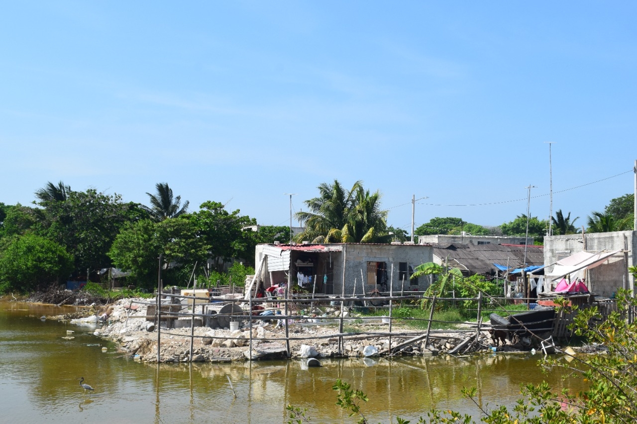 Habitantes del rumbo aseguran que familias han comenzado a construir sus viviendas con cemento en el manglar de Chicxulub Habitantes del rumbo aseguran que familias han comenzado a construir sus viviendas con cemento en el manglar de Chicxulub
