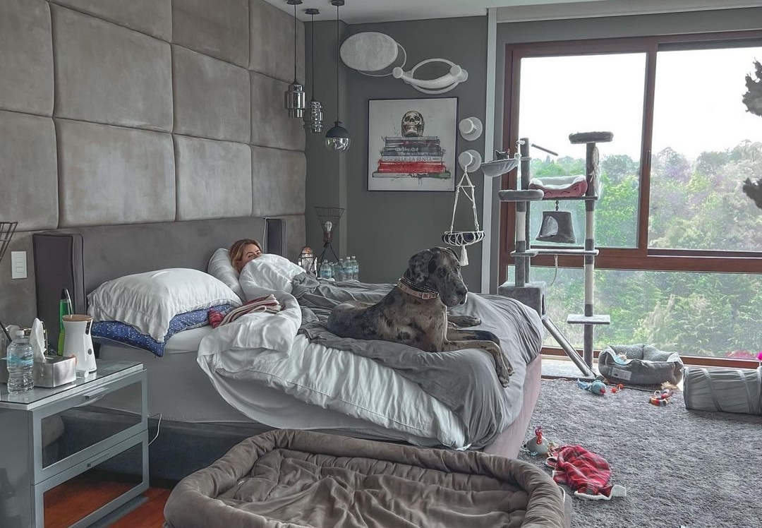 Nicole Peña Pretelini compartió la foto acompañada de sus mascotas. Foto: Instagram Nicole Peña Pretelini compartió la foto acompañada de sus mascotas. Foto: Instagram