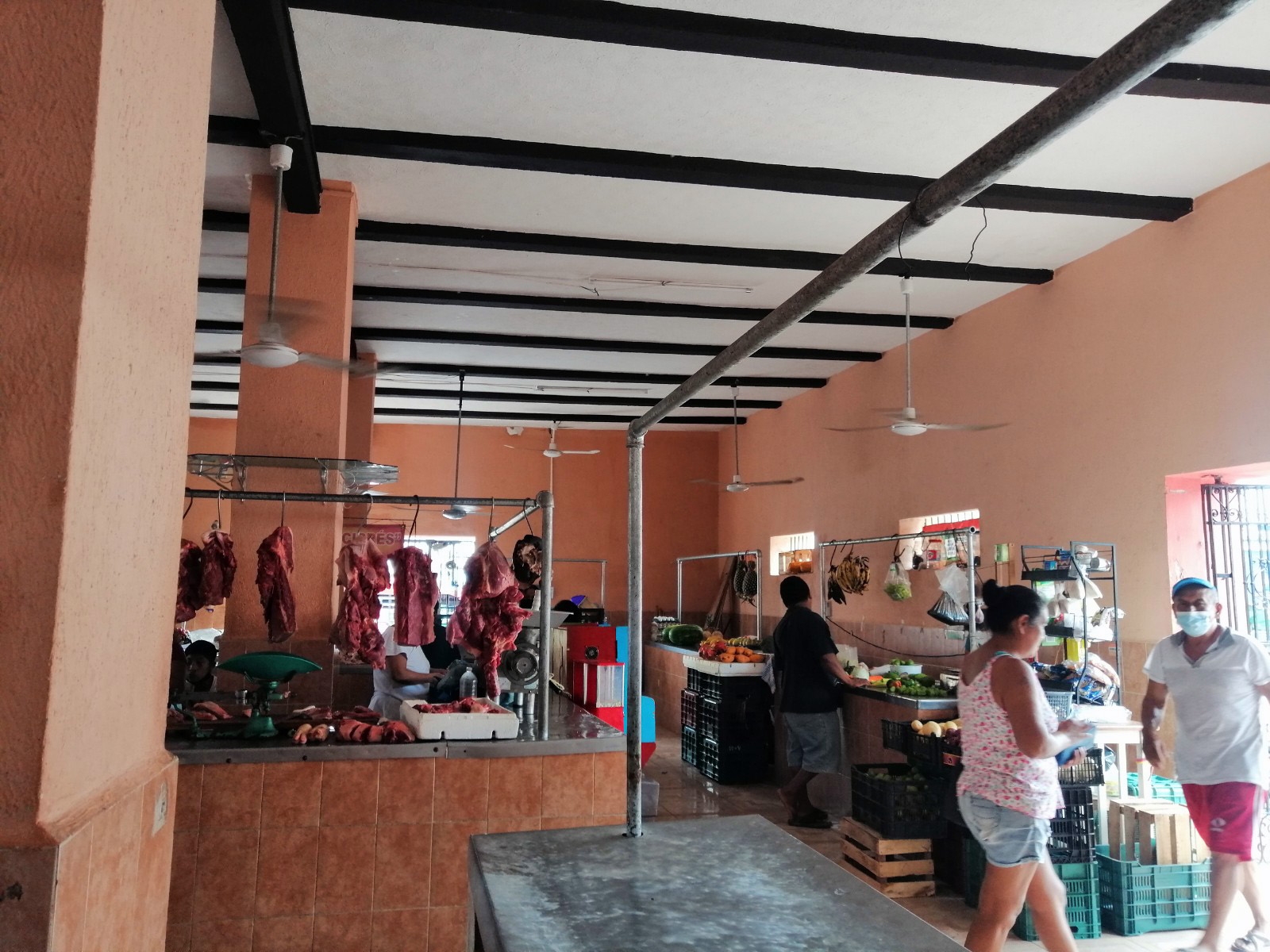 Seyé regresa a la normalidad tras la intoxicación de 500 personas por comer cochinita pibil