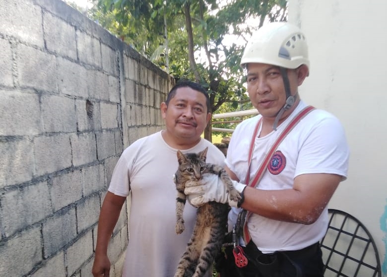 Protección Civil de Tizimín rescató al gato dentro del pozo