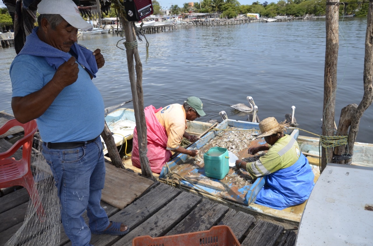 Serán más de 3 mil pescadores los beneficiados del programa Bienpesca