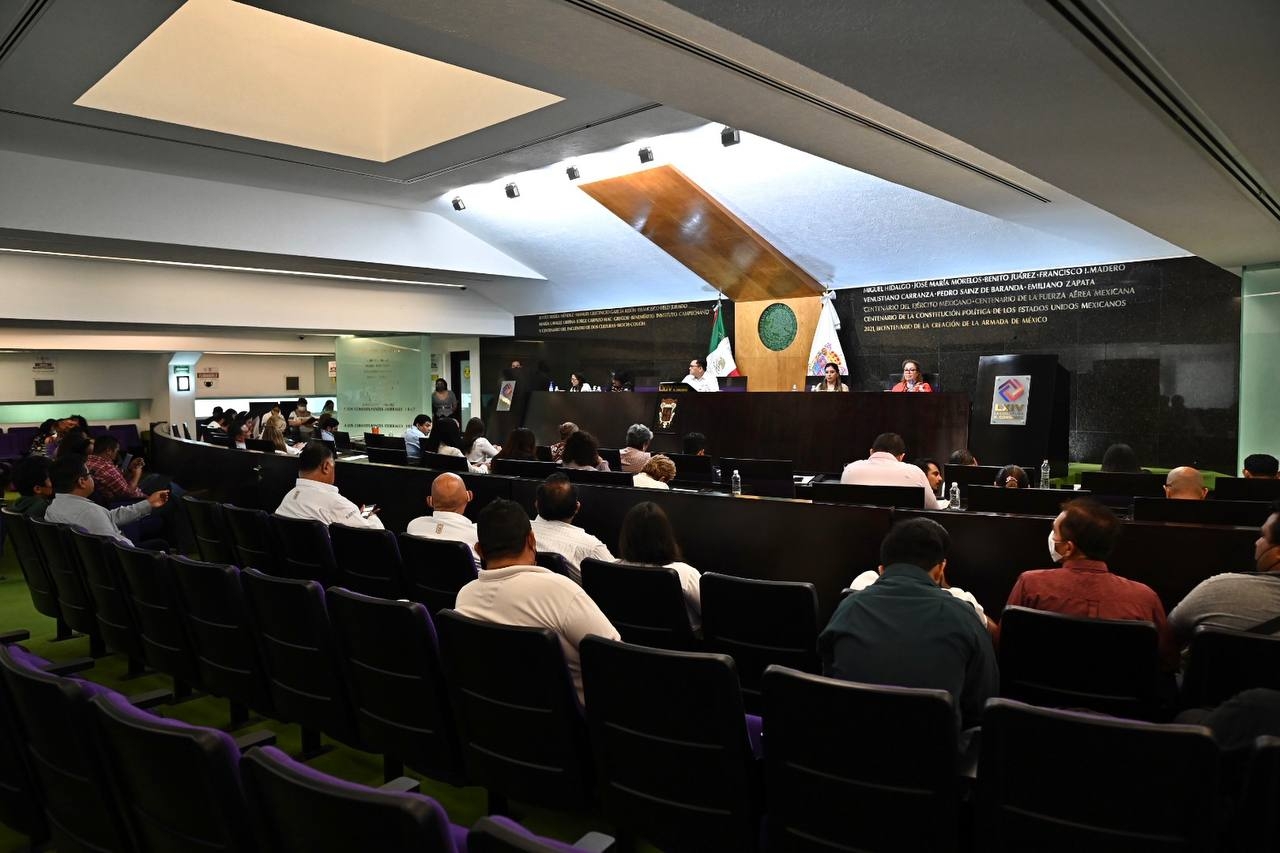 Los cambios a la Ley Orgánica del Municipio Libre fueron criticados por una edil del municipio de Carmen Los cambios a la Ley Orgánica del Municipio Libre fueron criticados por una edil del municipio de Carmen