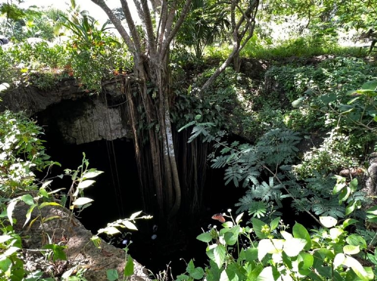 Pobladores se arroban al cenote 7 bocas en Sucopó Pobladores se arroban al cenote 7 bocas en Sucopó