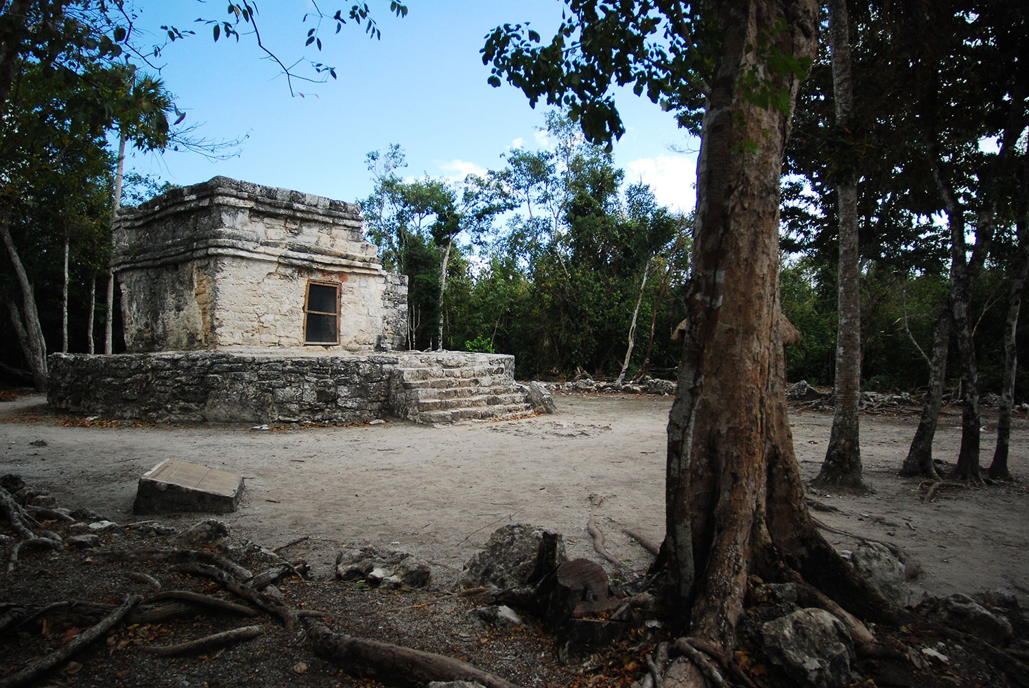 Tren Maya impulsará 18 zonas arqueológicas en Quintana Roo: INAH