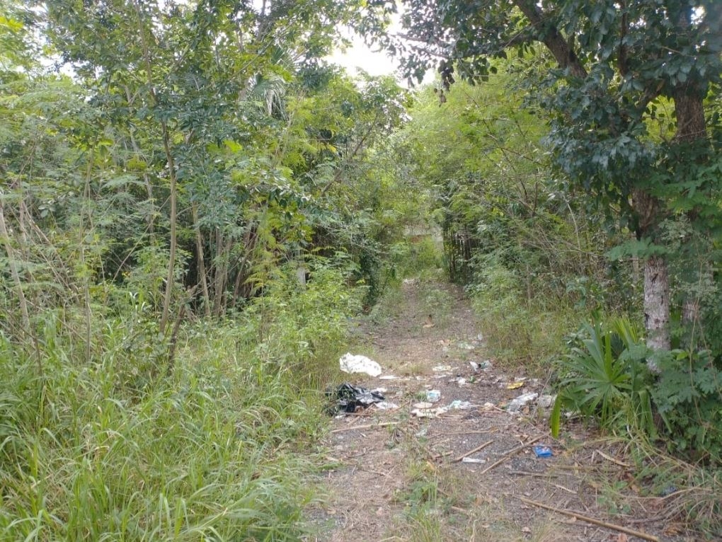 Los 8 cuerpos serán tratados en el Semefo de Merida. Foto: Por Esto!