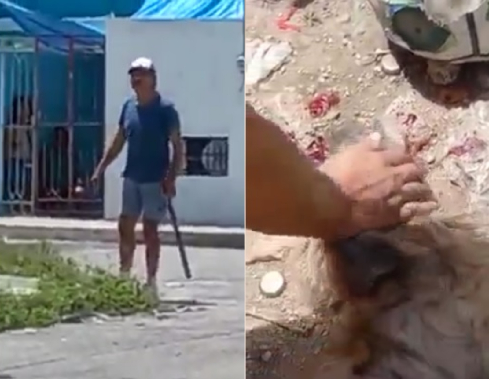 De ser detenido, el hombre pasaría cuatro años en prisión tal y como lo establece el Código Penal de Yucatán De ser detenido, el hombre pasaría cuatro años en prisión tal y como lo establece el Código Penal de Yucatán