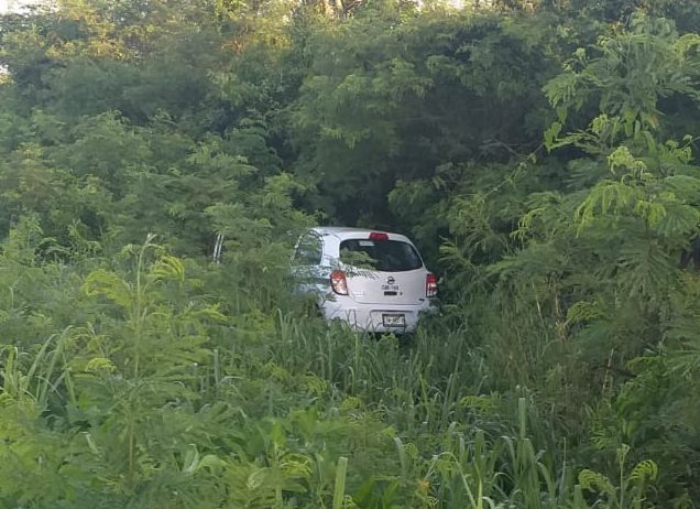 El auto terminó entre la maleza El auto terminó entre la maleza