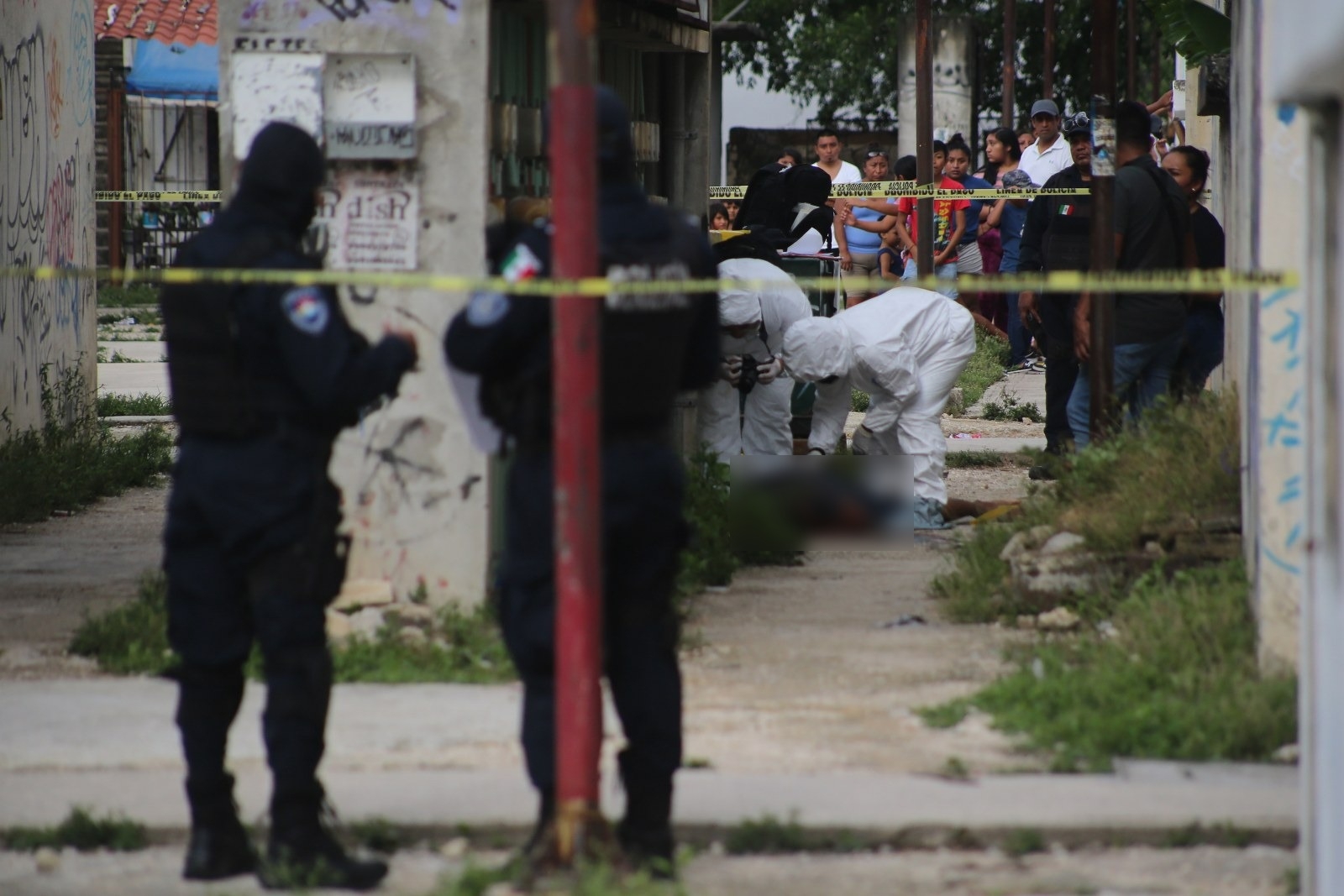 El asesinato de un hombre evidenció que no hay un control total sobre la violencia en Quintana Roo, lo que causa que los vecinos perciban mayor inseguridad, según la ENSU El asesinato de un hombre evidenció que no hay un control total sobre la violencia en Quintana Roo, lo que causa que los vecinos perciban mayor inseguridad, según la ENSU
