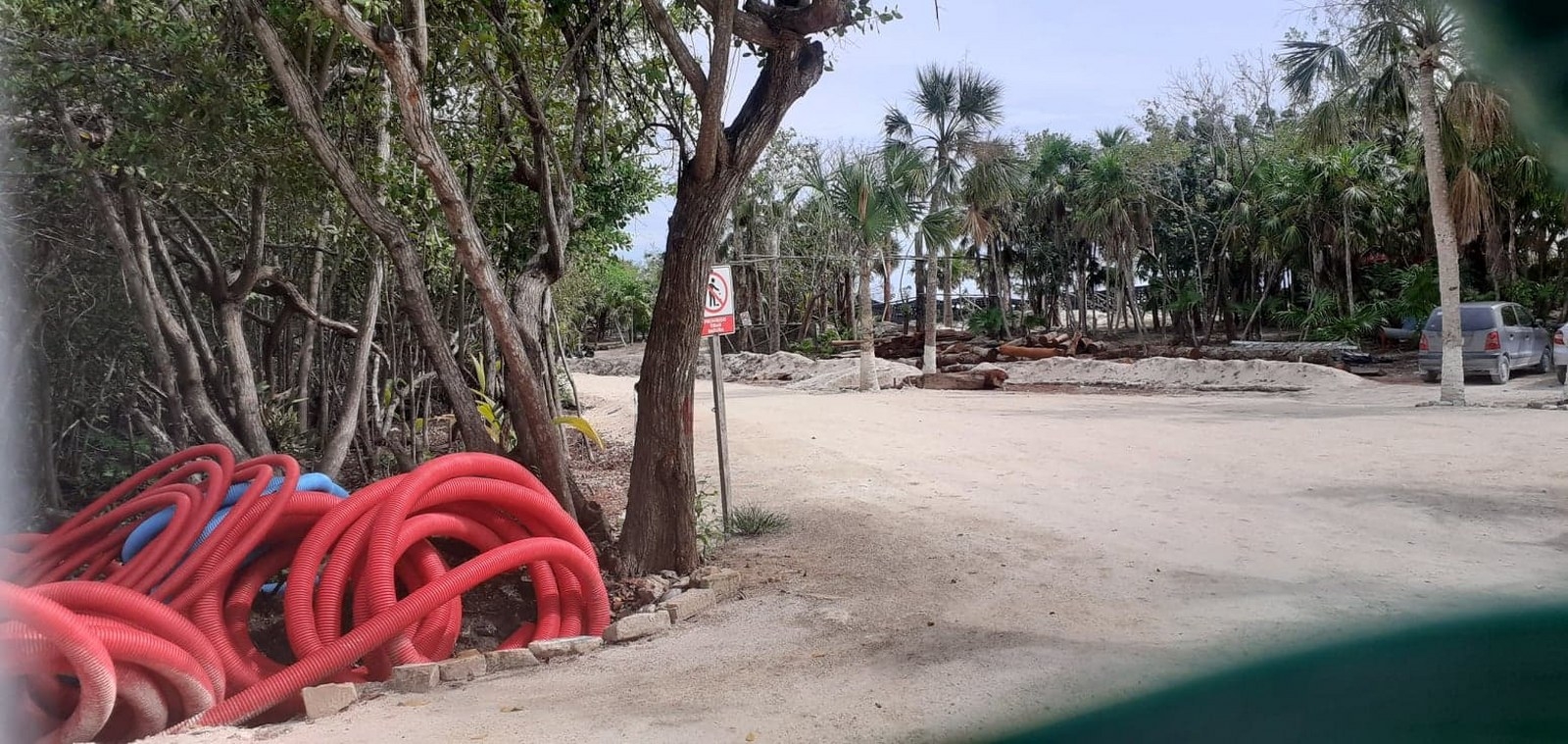 Los trabajos del Parque Lakam Ha fueron denunciados por ambientalistas en Cozumel por el daño a la selva y humedales Los trabajos del Parque Lakam Ha fueron denunciados por ambientalistas en Cozumel por el daño a la selva y humedales