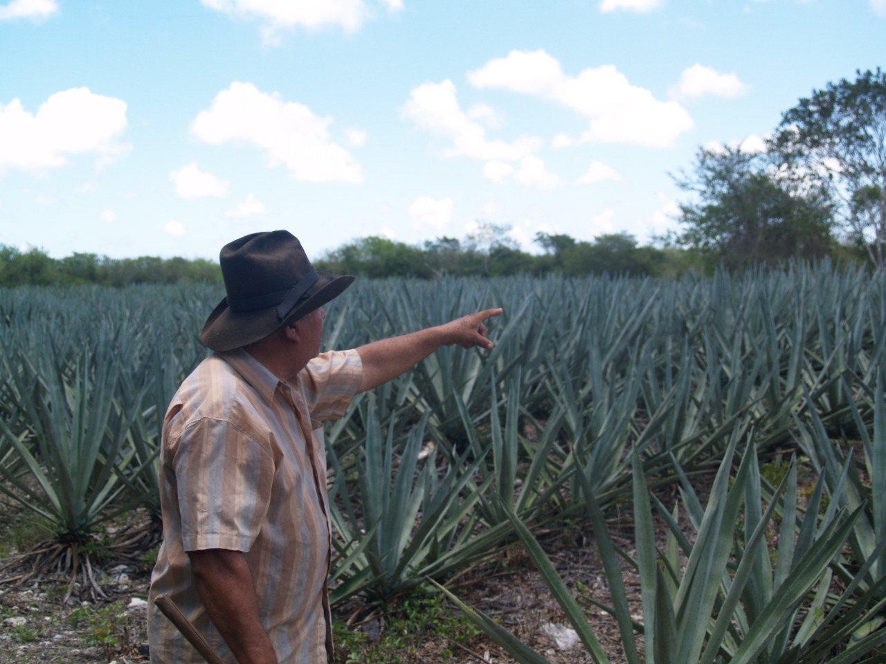 Campesinos se rehúsan a abandonar la actividad que se encuentra en peligro de extinción