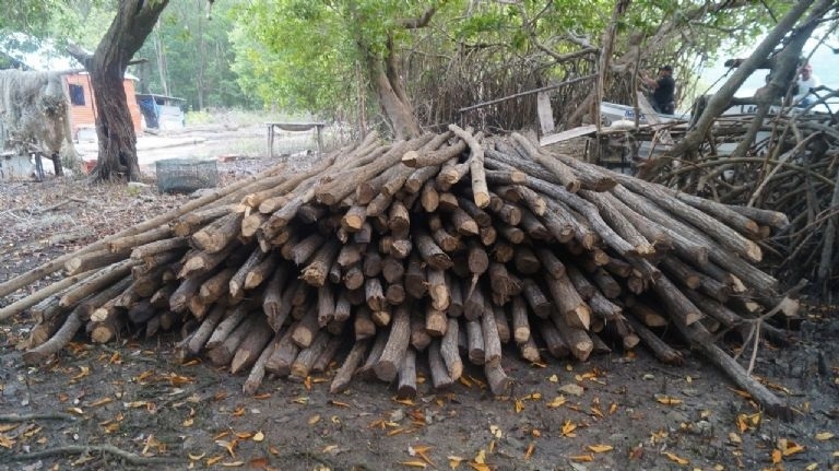 Si pasa mucho tiempo guardada pierde su calidad por ser un producto natural, es decir, se pudre por la humedad Si pasa mucho tiempo guardada pierde su calidad por ser un producto natural, es decir, se pudre por la humedad