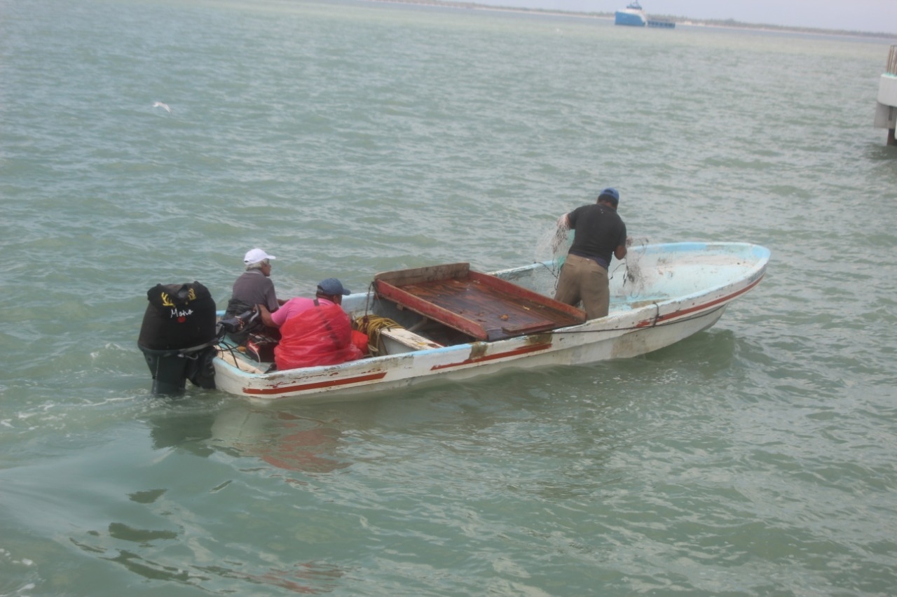 Según el informe, se tienen 12 robos motores fuera de borda a embarcaciones de pesca, así como 120 paños de redes