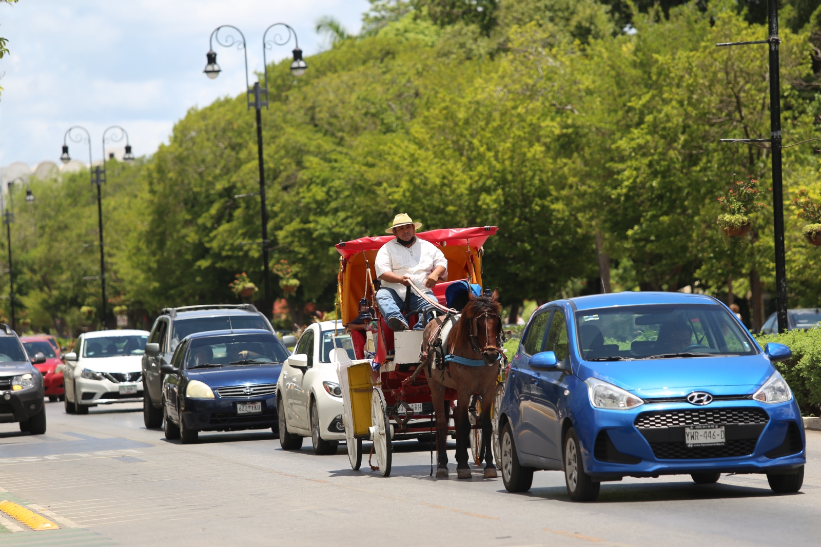 Calesas eléctricas de Mérida "desencantan" a turistas, prefieren las tradicionales