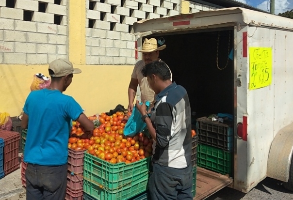 Los agricultores buscan que haya una porcesadora de limón en la region. Foto: Pedro Díaz Los agricultores buscan que haya una porcesadora de limón en la region. Foto: Pedro Díaz