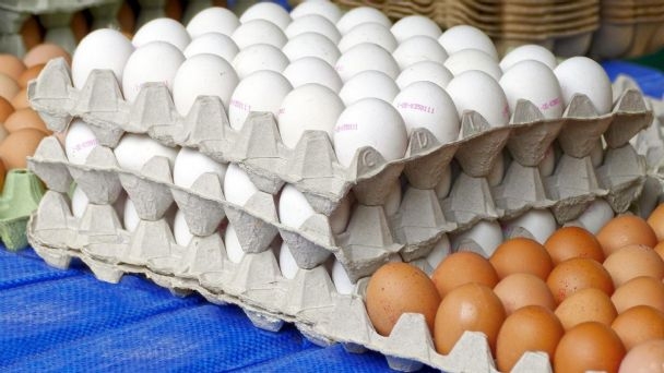 La inflación sigue causando fuertes efectos que golpean el bolsillo de todos los mexicanos, conoce cual será el nuevo precio del huevo durante julio 2022
