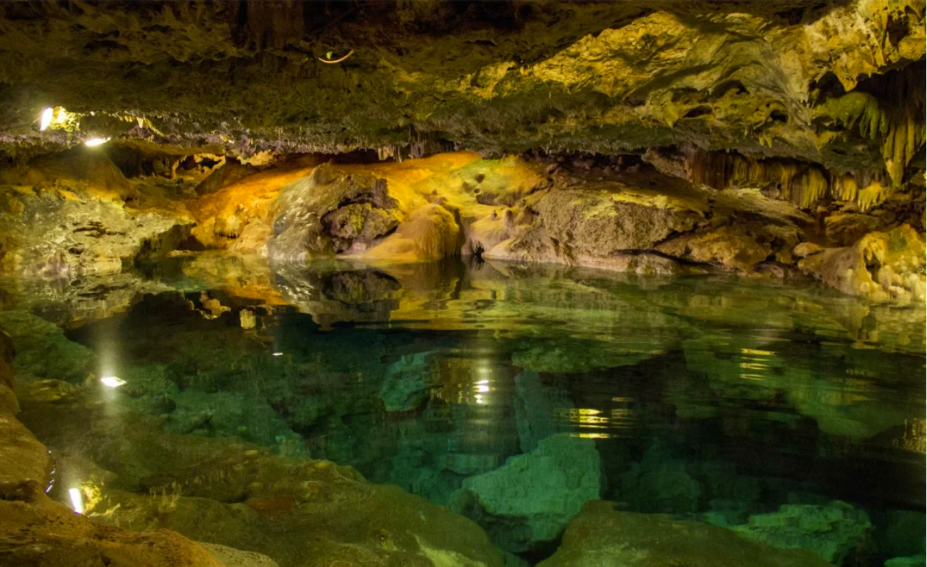 Los cenotes son los sitios más visitados en Yucatán