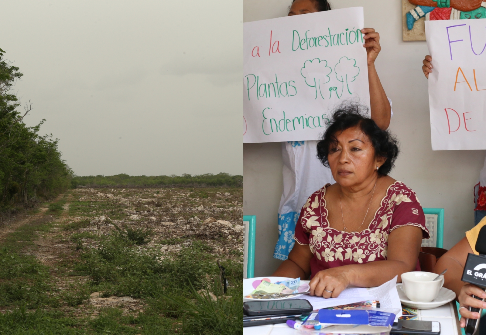 Pobladores de Ixil denuncian ante Profepa a "lotera" Aludra por devastar más de 5 mil hectáreas