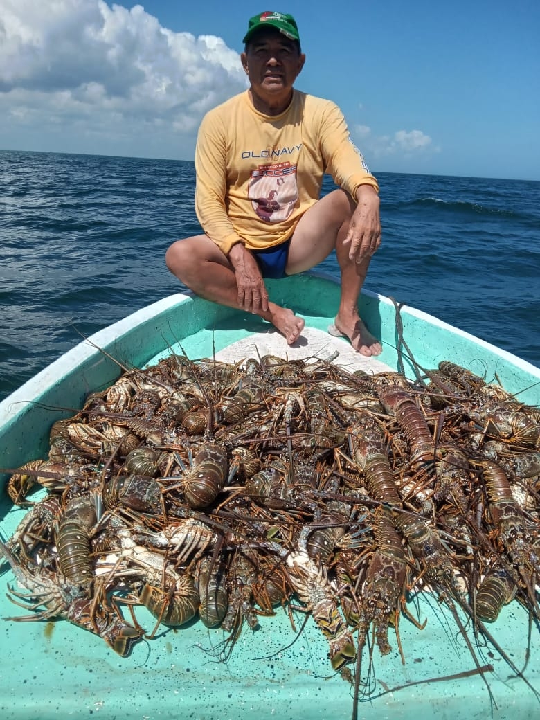 Los pescadores que se dedican a la actividad están capacitados, además que más del 97 por ciento cuenta con Seguro Social Los pescadores que se dedican a la actividad están capacitados, además que más del 97 por ciento cuenta con Seguro Social