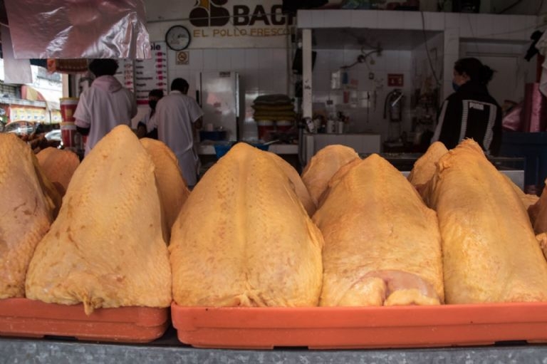 La Profeco dio a conocer cuál es el costo para el kilo del pollo en todo el país. Estos son los detalles La Profeco dio a conocer cuál es el costo para el kilo del pollo en todo el país. Estos son los detalles