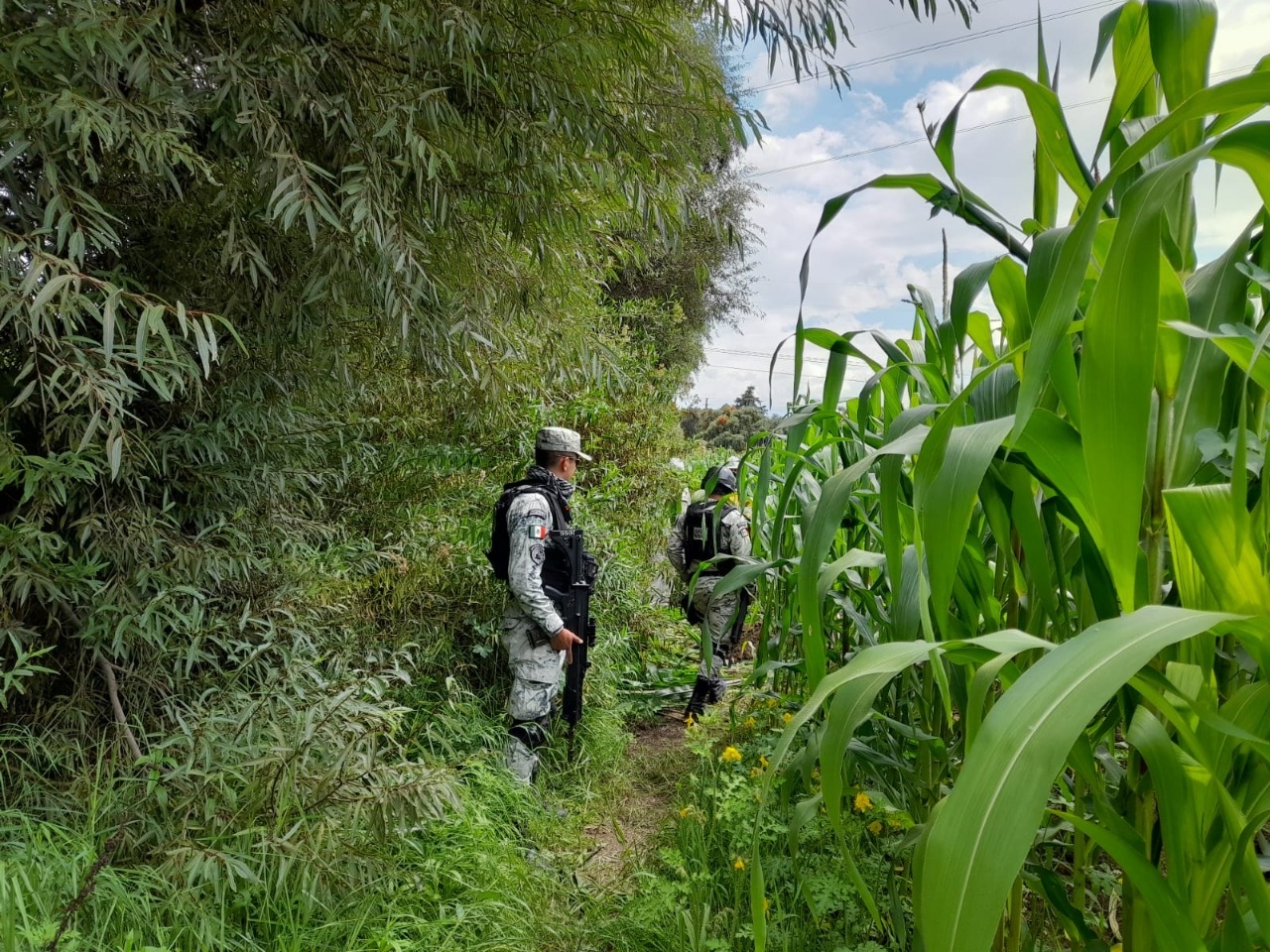 Encuentran toma clandestina para sustracción de hidrocarburo en Puebla