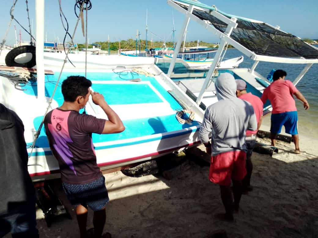 Los pescadores tienen la esperanza de mejorar su situación económica en la temporada del pulpo