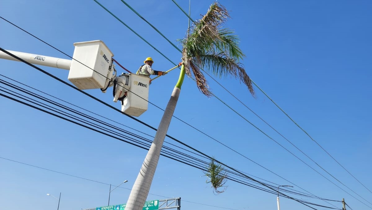 El servicio se suspenderá aproximadamente durante 9 horas