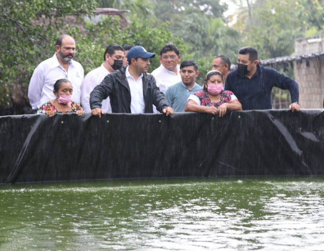 Mauricio Vila recorrió una granja de tilapias en Valladolid