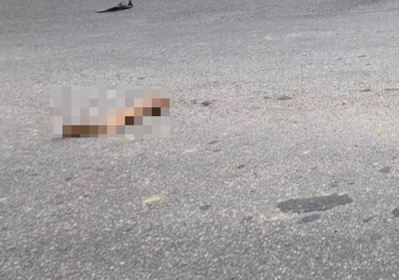 Mujer pierde una pierna al chocar contra una patrulla en Playa del Carmen