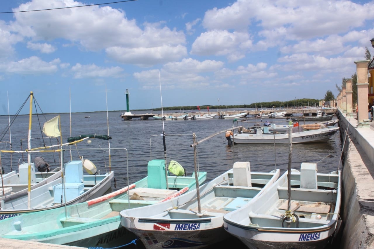 En el combate contra la pesca furtiva en el Litorial Oriente de Yucatán participa personal uniformado de la Comisión Nacional de Acuacultura y Pesca