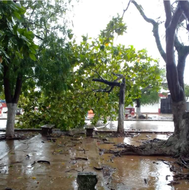La tormenta eléctrica y lluvias continúan, pese a que los vientos han disminuido continúan provocando daños La tormenta eléctrica y lluvias continúan, pese a que los vientos han disminuido continúan provocando daños