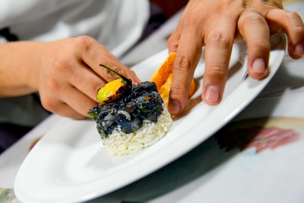 Pulpo en su tinta: Conoce la receta de este delicioso platillo yucateco