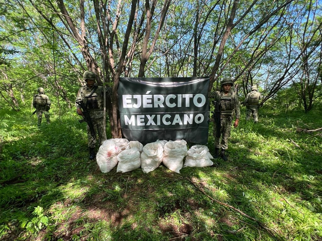 No se tiene el registro de personas detenidas