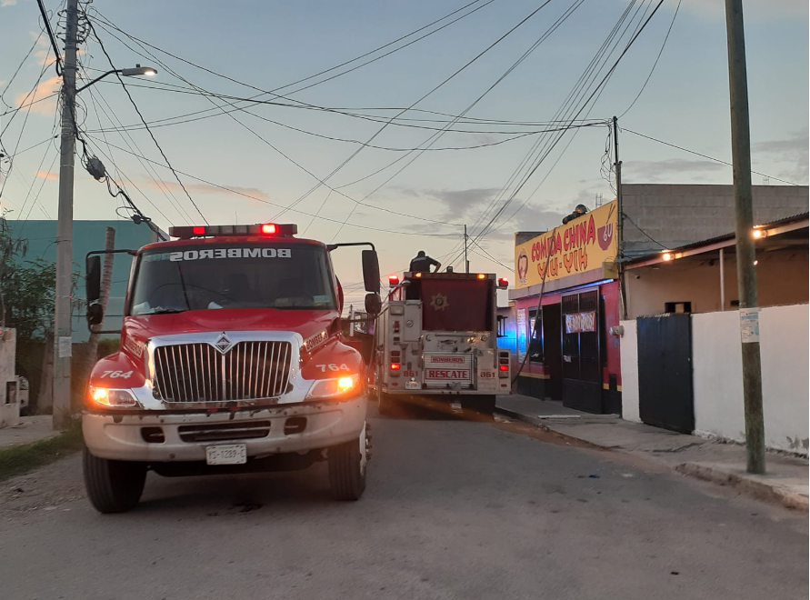 Los pr propietarios llamaron al número de emergencia 911 para solicitar ayuda Los pr propietarios llamaron al número de emergencia 911 para solicitar ayuda