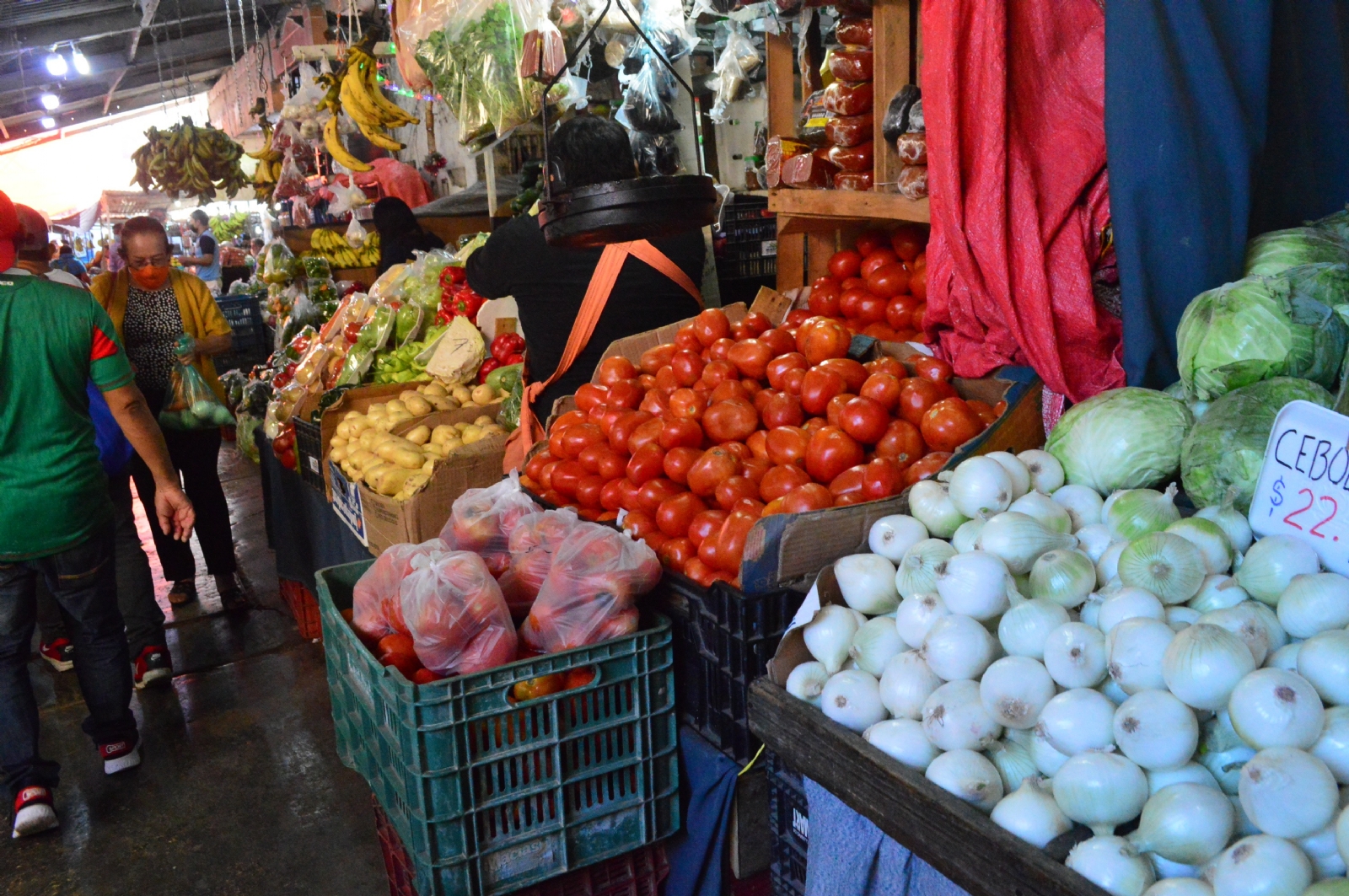 La mayoría de las frutas y verduras presentan variación en precios La mayoría de las frutas y verduras presentan variación en precios
