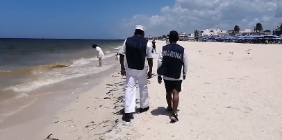 La marea roja aún está presente en la costa de Yucatán