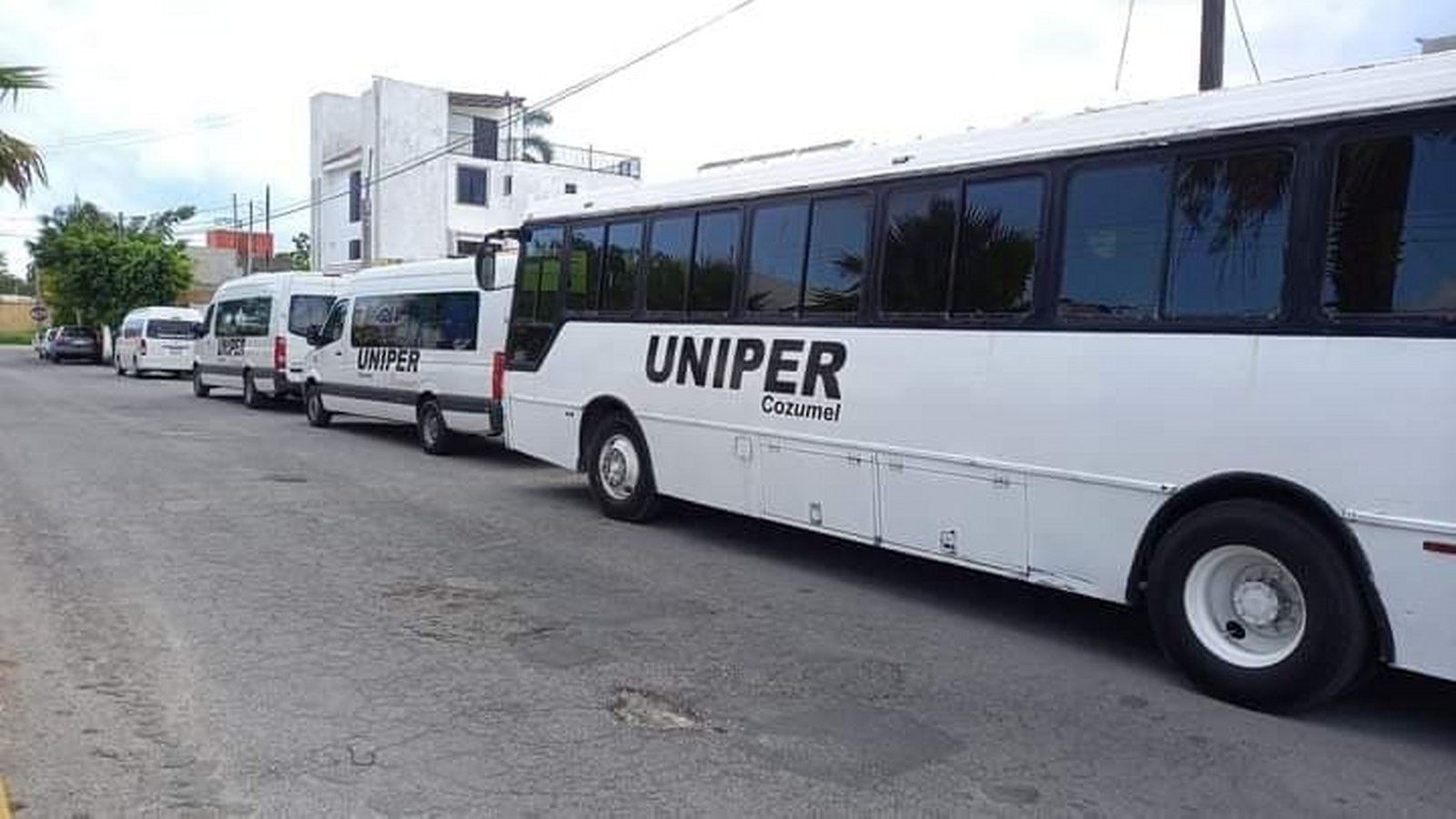 Los directivos de la Unión de Permisionarios (Uniper) sesionaron el 4 de agosto para definir si seguían o no con el servicio de transporte urbano en Cozumel Los directivos de la Unión de Permisionarios (Uniper) sesionaron el 4 de agosto para definir si seguían o no con el servicio de transporte urbano en Cozumel