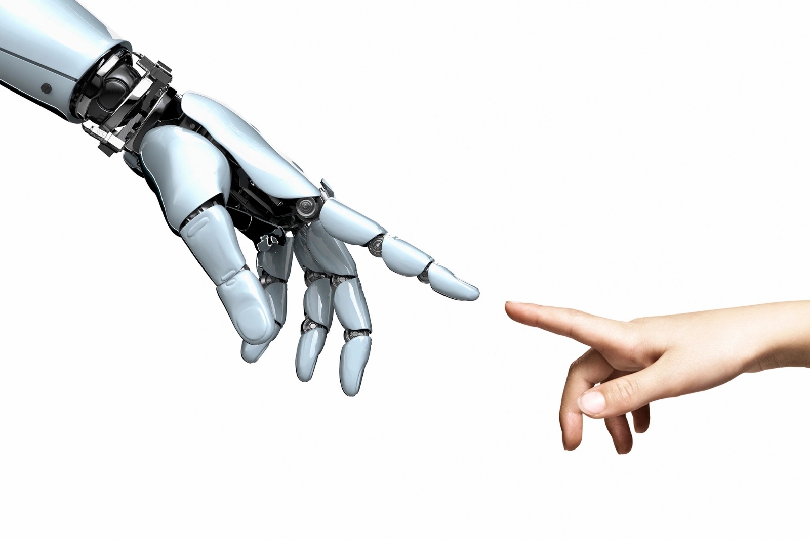 Estos robots solamente son utilizados en sus oficinas