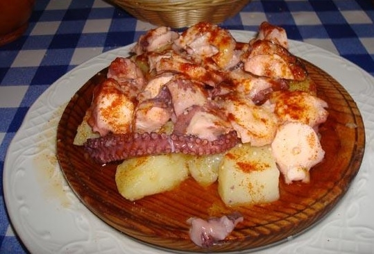 El pasado 1 de agosto inició la temporada de pulpo en Yucatán El pasado 1 de agosto inició la temporada de pulpo en Yucatán