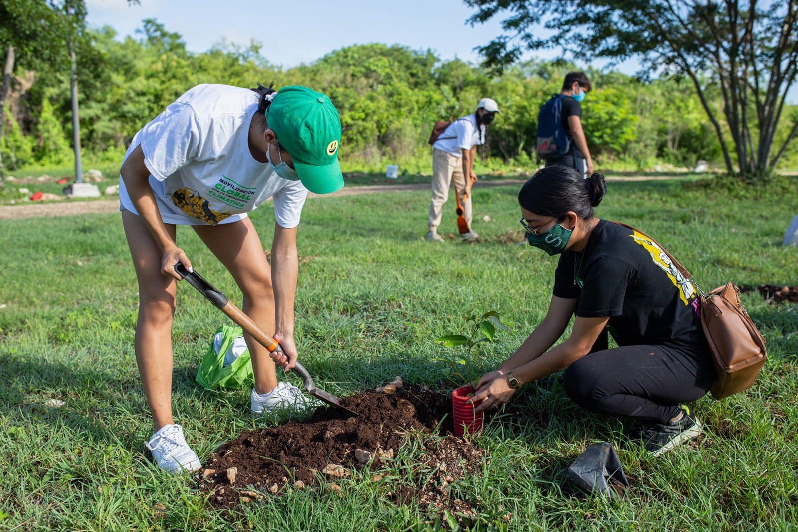 La reforestación ha sido una de las actividades más promovidas en estas fechas
