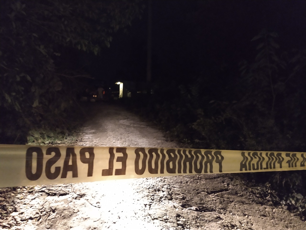 La zona donde se halló el cráneo de una persona en Puerto Aventuras fue acordonada, pues policías sospechan que el resto del cuerpo podría estar enterrado La zona donde se halló el cráneo de una persona en Puerto Aventuras fue acordonada, pues policías sospechan que el resto del cuerpo podría estar enterrado