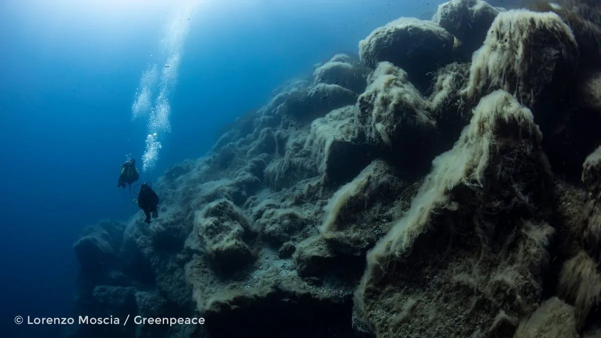 Los trabajos de investigación se realizaron en a bordo del Buque de Investigación Pesquera y Oceanográfica “Dr. Jorge Carranza Fraser” Los trabajos de investigación se realizaron en a bordo del Buque de Investigación Pesquera y Oceanográfica “Dr. Jorge Carranza Fraser”