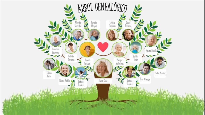 El árbol genealógico puede ser sencillo o complejo
El árbol genealógico puede ser sencillo o complejo
