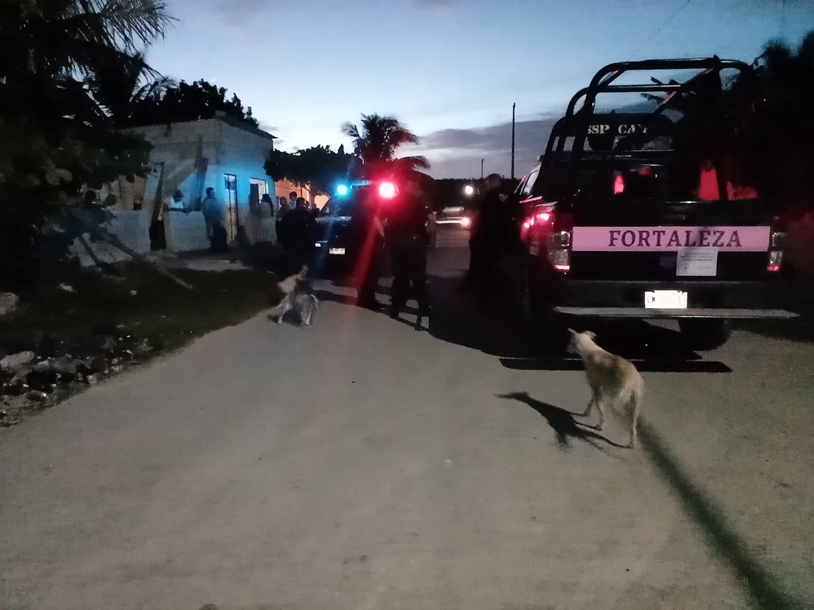 El hombre fue llevado a la Vicefiscalía General para llevar a cabo los trámites correspondientes que marca la Ley El hombre fue llevado a la Vicefiscalía General para llevar a cabo los trámites correspondientes que marca la Ley