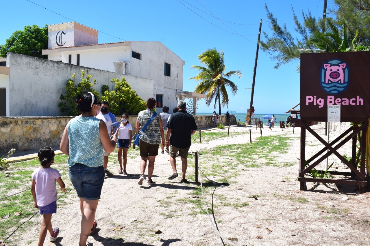 Pig Beach fue uno de los más afectados al disminuir en más del 50 por ciento en sus visitas tras superar cifras récord