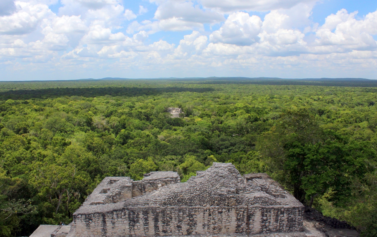 La Reserva de la Biosfera de Calakmul será aplicado con nuevas hectáreas La Reserva de la Biosfera de Calakmul será aplicado con nuevas hectáreas