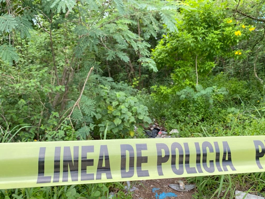 Es verdad que hallaron 10 cuerpos en la selva de la Riviera Maya, esto es lo que se sabe Es verdad que hallaron 10 cuerpos en la selva de la Riviera Maya, esto es lo que se sabe