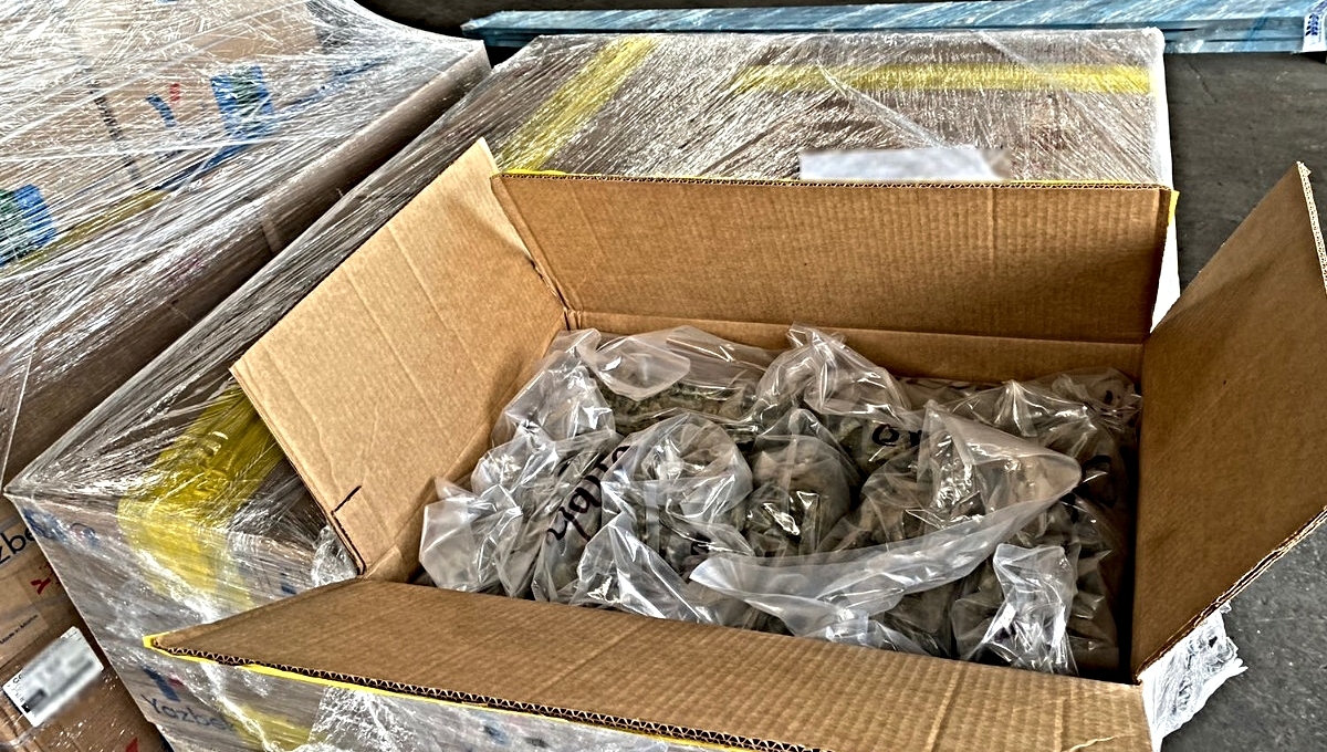 Con apoyo de un binomio canino localiza cajas que en su interior contienen posible enervante. Foto: Especial Con apoyo de un binomio canino localiza cajas que en su interior contienen posible enervante. Foto: Especial